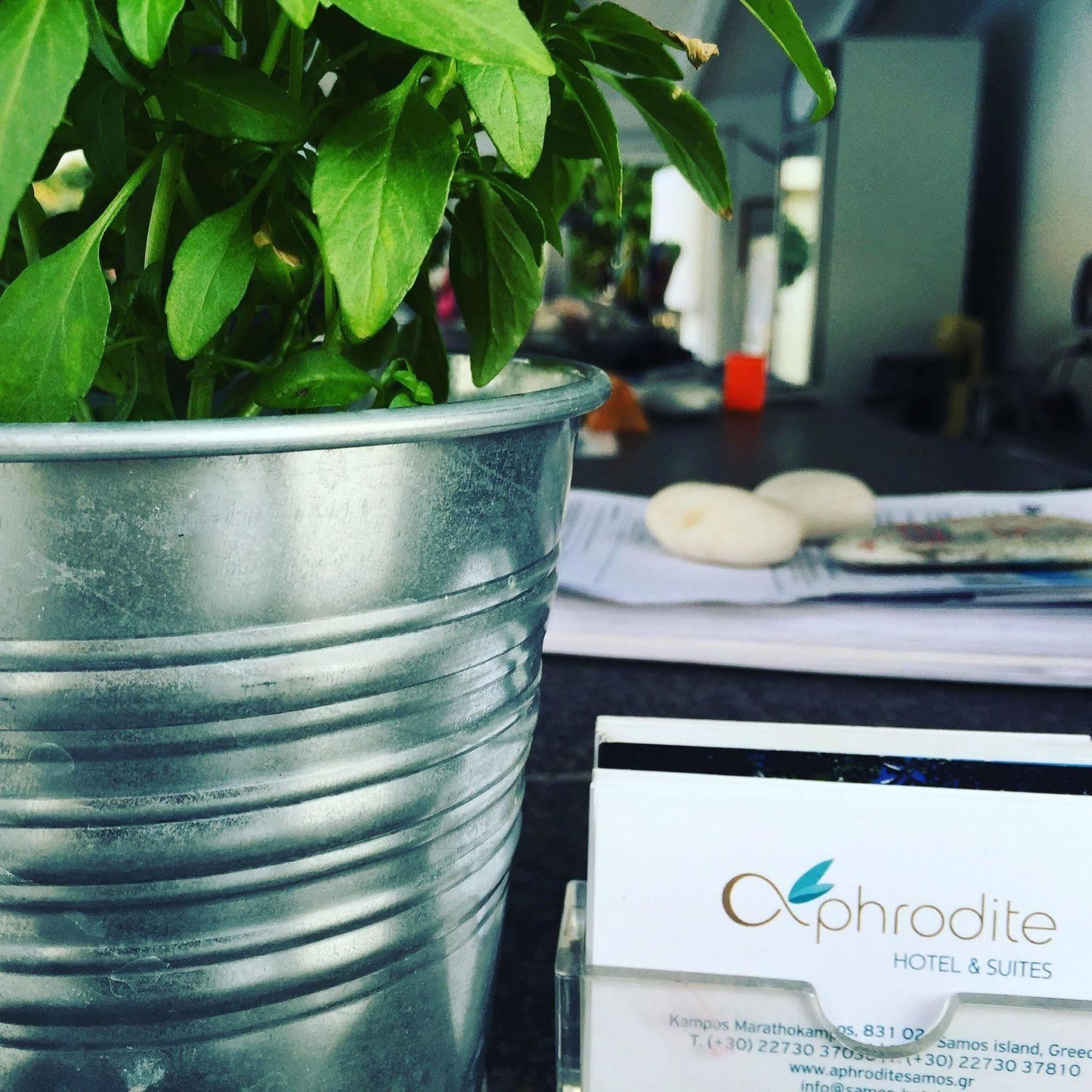 Aphrodite Samos Suites Marathókampos Екстериор снимка