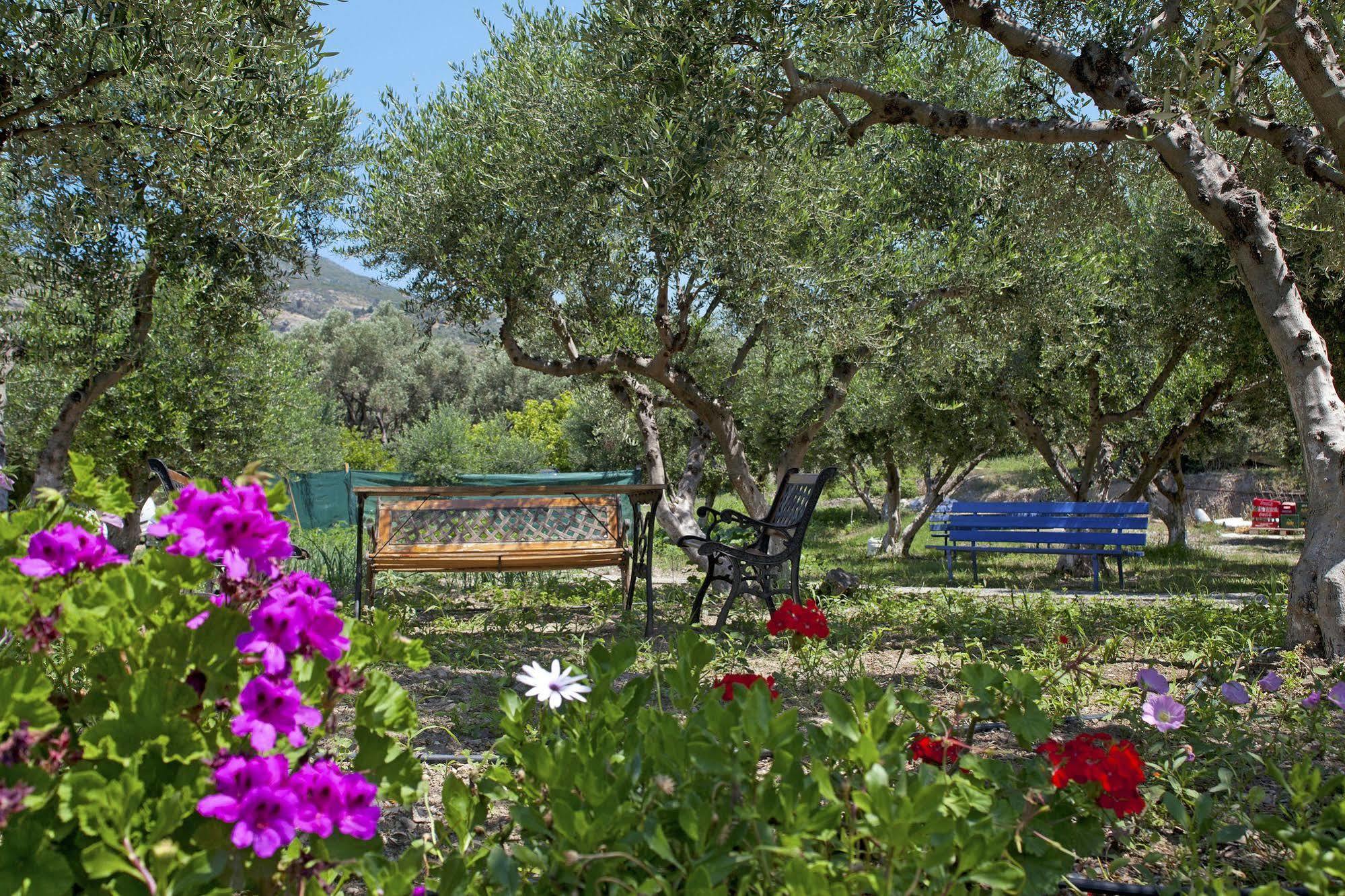 Aphrodite Samos Suites Marathókampos Екстериор снимка